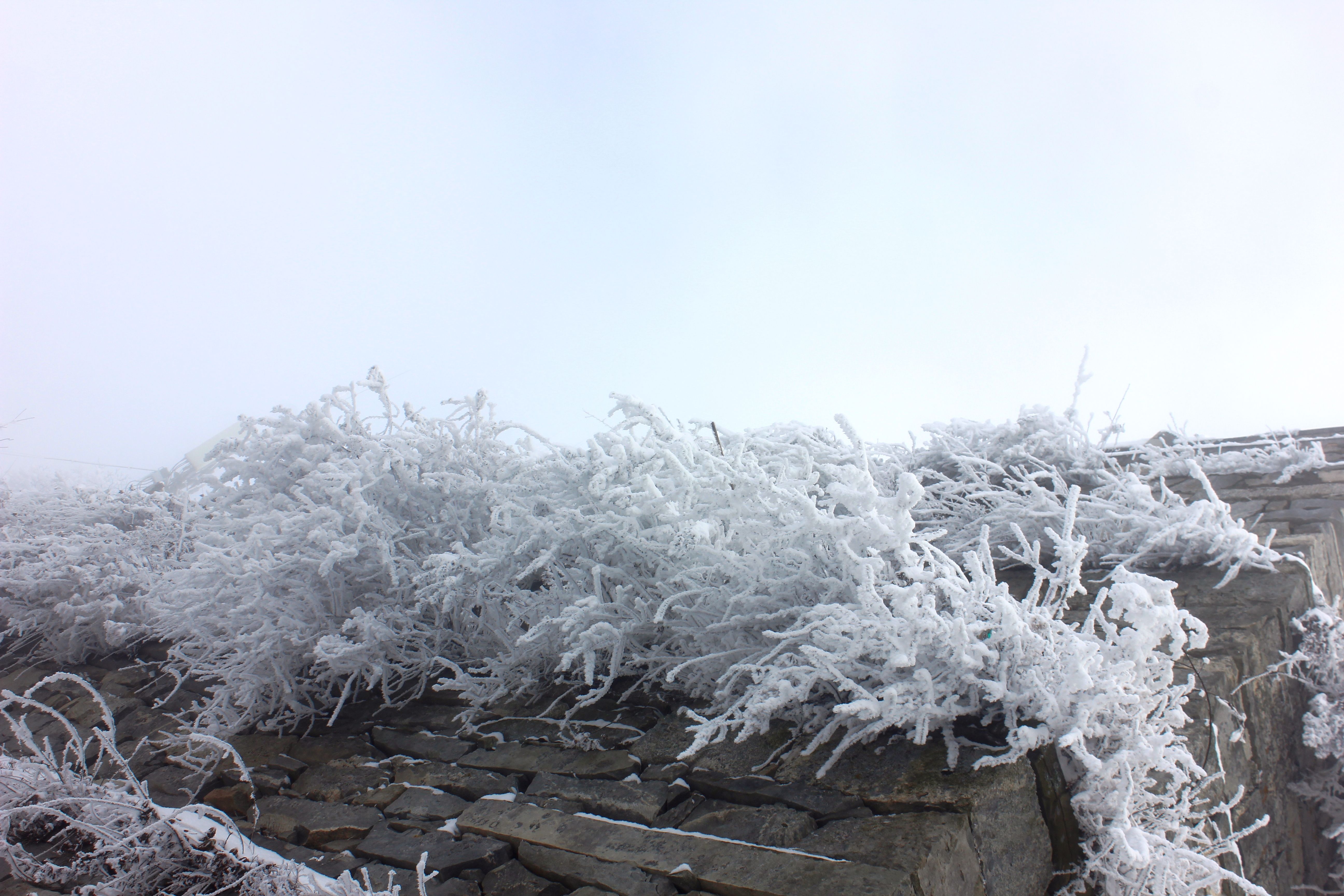 征集|【年末福利征集】雪后南五台幸遇云海