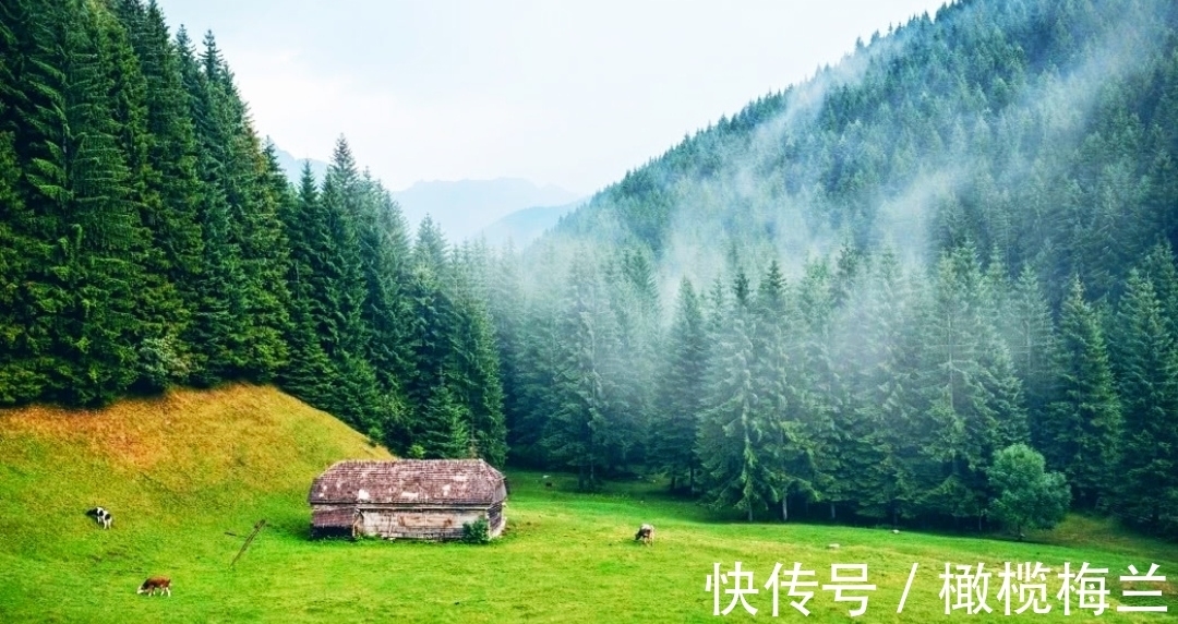 传世|【诗词欣赏】品读五首小诗，欣赏中唐时期代表诗人的传世佳作