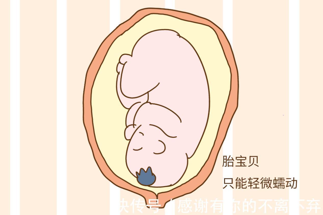 咋回事|孕晚期胎儿在肚中一抖一抖咋回事并不是胎动，而是为出生做准备