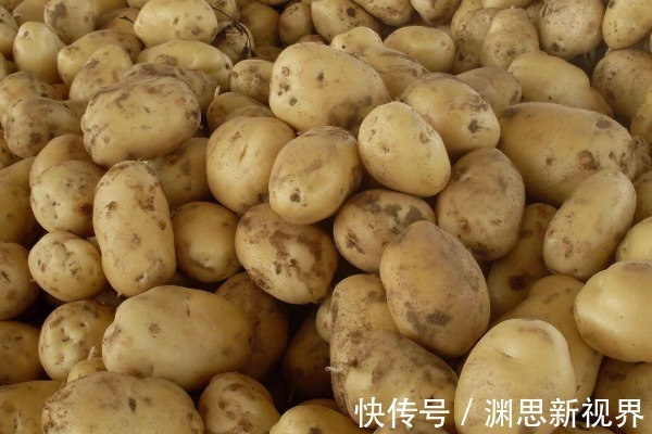 马铃薯|打了激素的土豆如何分辨老菜农教你几招,别再买错了!