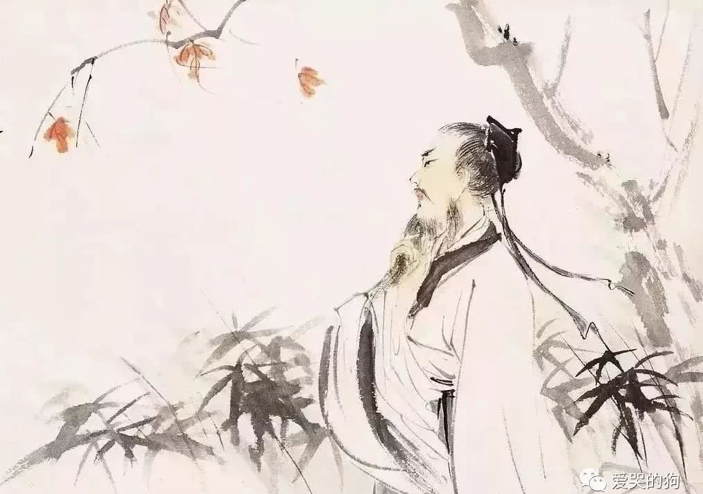 至理名言|白居易这首诗充满了禅理,给人一种大彻大悟之感,句句是至理名言