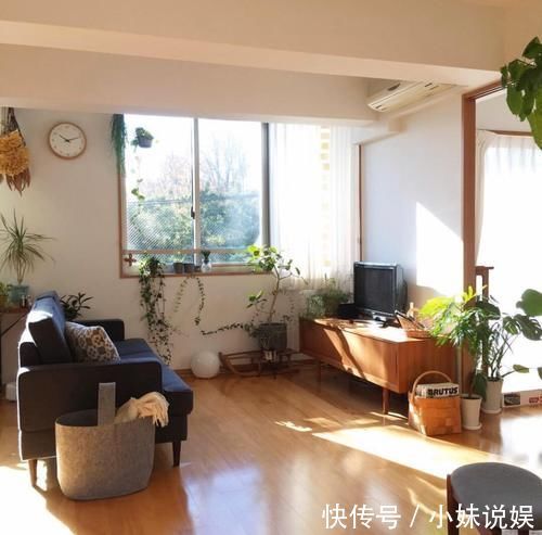 日本人|这对日本夫妇,把小家布置得温馨自然,小户型却有岁月静好的模样