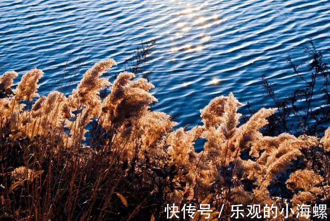 翔海房产：大乳山的秋天， 在色彩斑斓中已上线！