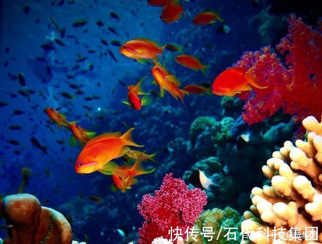 全息|5D全息《海底世界》带你探索深海的秘密，领略未知美景