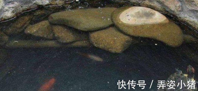 生活环境$古人掘井后,为何要在井里放鱼或乌龟?老祖宗的智慧不服不行