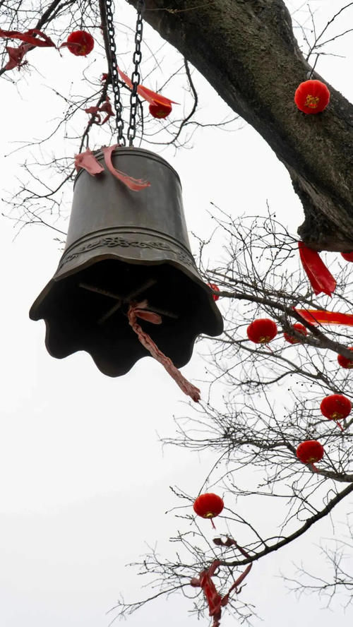 不想去鸡鸣寺人挤人？不如……来这里吧！