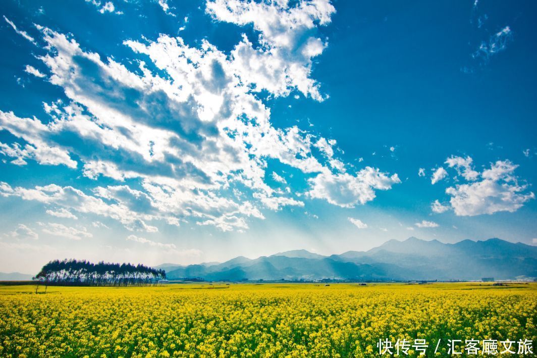 赏花|罗平赏花攻略，万亩油菜花开成海