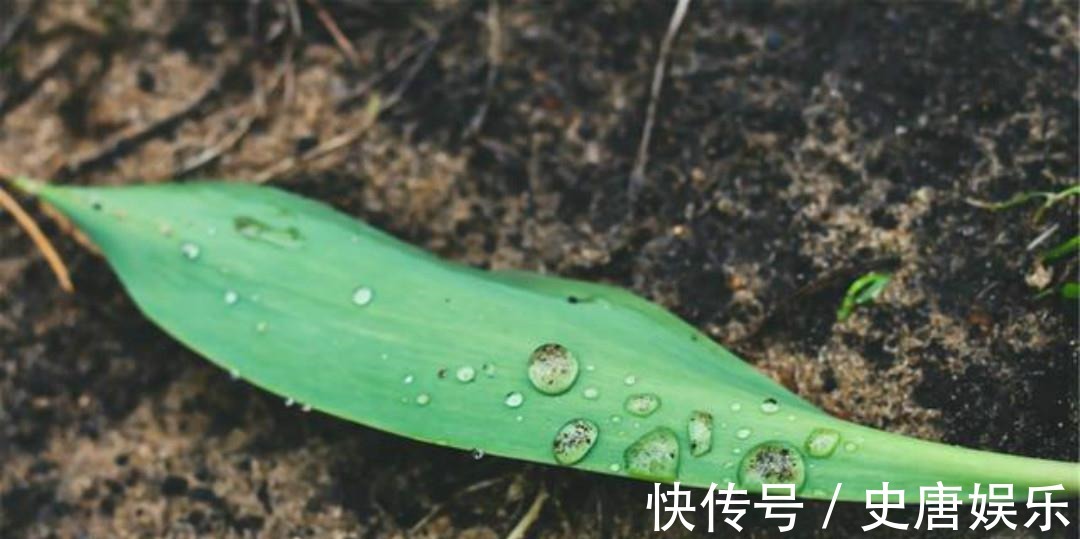 诗人&杨万里这首经典的咏雨诗，通篇只不过信手拈来，却是写得出神入化