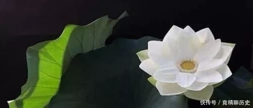 懦弱无能|忍让,是否真的是一种美德吗?