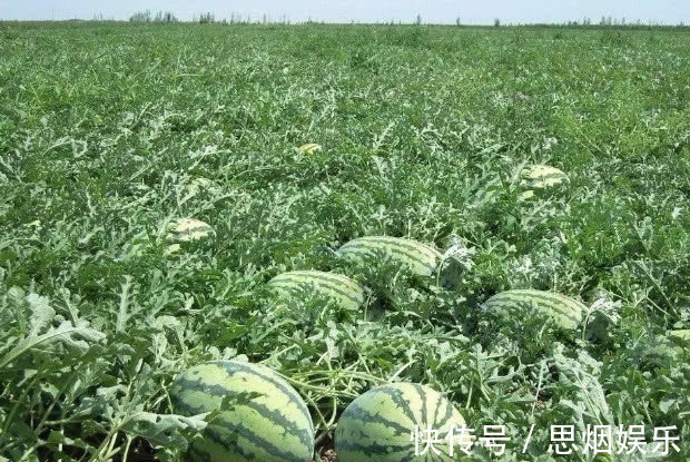 雪梨|高血压最好避免4种水果,吃一口血压飙升,别儿戏生命!