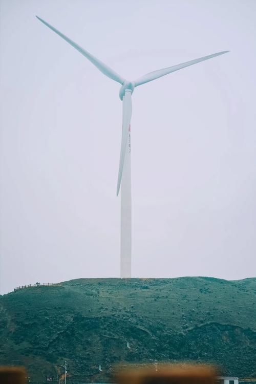 言育育儿:当孩子跟你闹脾气的时候,你该怎么做?