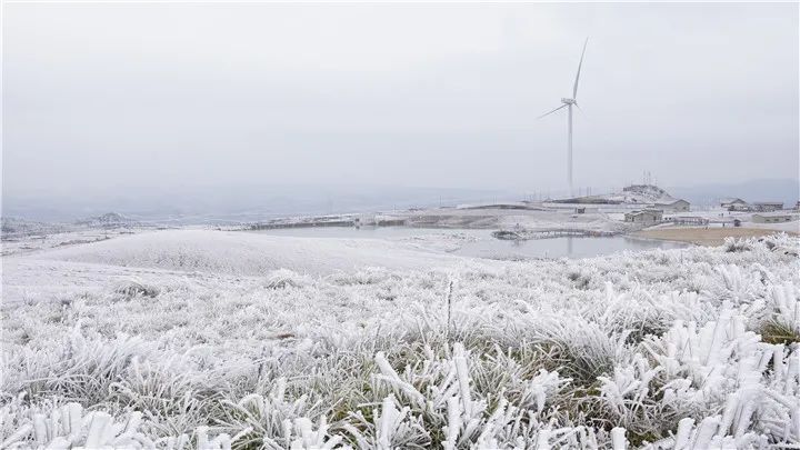 贵州多地迎来新年降雪！雪景太美了！