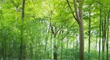 诗人|朱熹鲜为人知的七律,开篇如入画境,尾联更令人启迪深刻