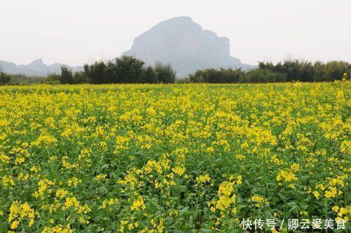 老年|阳春三月 百花盛开 尽情拥抱“花花世界”——韶关丹霞山
