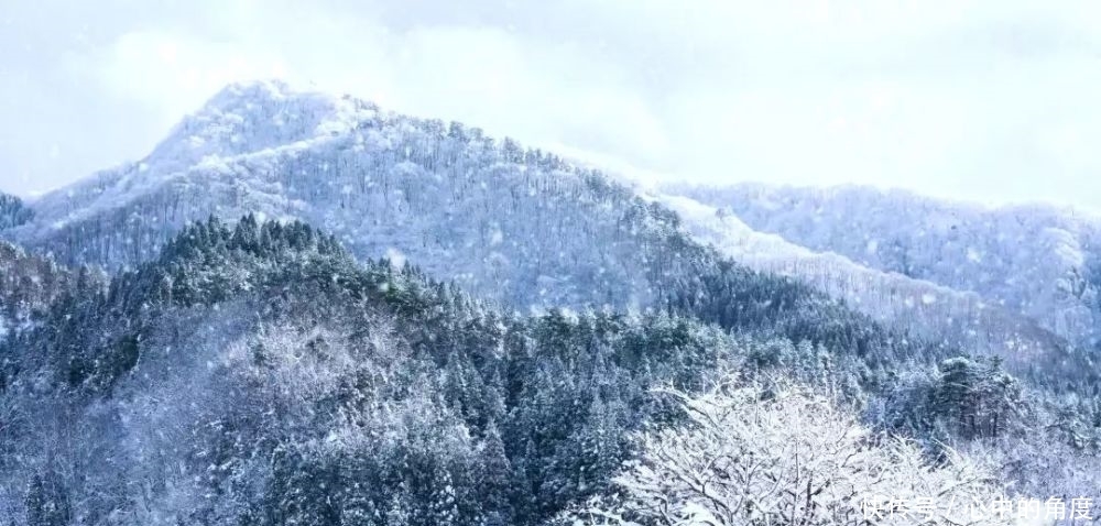  冬天|毛泽东笔下的冬天，大气磅礴，何等壮美，何等洒脱！