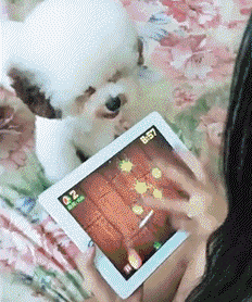 |搞笑gif:一场神奇的车祸,使这位司机红了