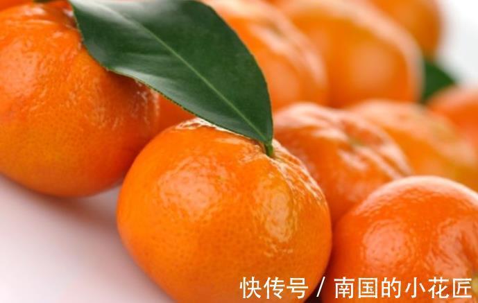柠檬酸|常吃橘子好处数不胜数,身强体壮,皮肤也滋润了,早食用早健康