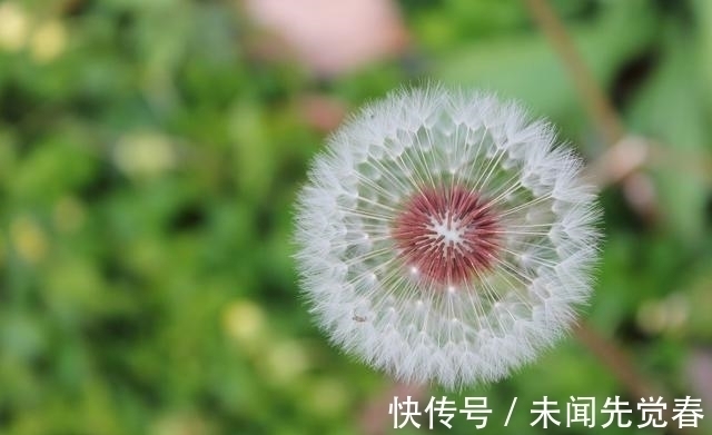 桃花|下周，事业发达，财运反转，桃花满满，收获幸福，达到人生巅峰