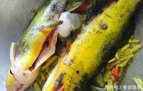 热乎乎|豆腐和它是才绝配, 热热乎乎的, 吃完特舒服, 一锅都不够吃