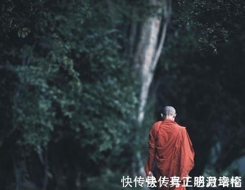 下联#俊俏尼姑出一上联池中荷叶鱼儿伞,和尚下联非常经典,动人凡心!