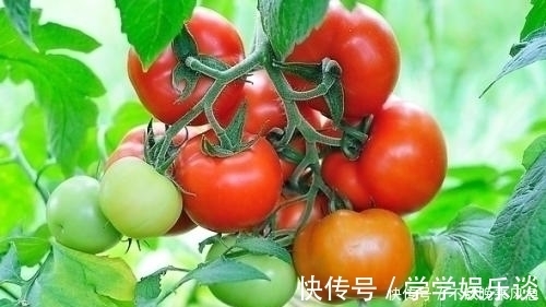 dh提醒,炒西红柿不能放此物,吃了就是给自己找罪受,早知早健康