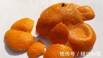 白醋泡橘子皮太厉害了，解决了大问题，家家户户离不开它！