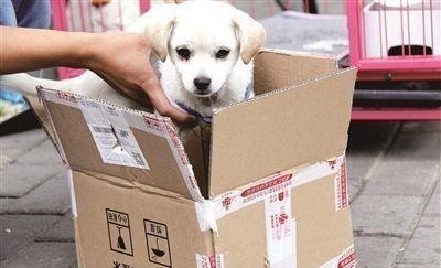 网购|平台商家坦言：买6样东西最好去实体店，不然吃亏的是你自己