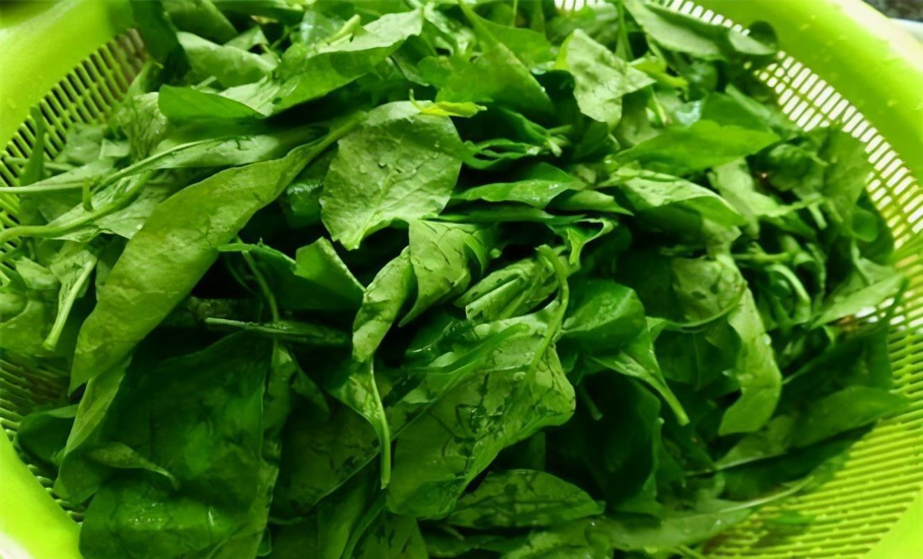 养颜|冬天，不妨多吃3种食物，美容养颜，有效抗衰老