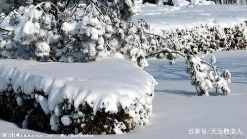 七绝&诗词七绝《冬雪》