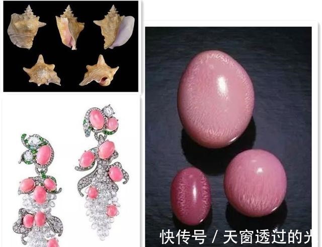 海螺&最珍贵的有机宝石,珍珠中的稀有品种,不了解它,就别说爱珍珠