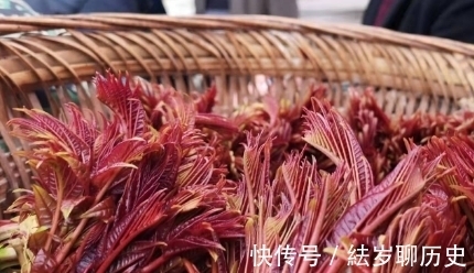 野菜|春天,这4种野菜记得吃,营养高口感好,错过了来年才能吃到