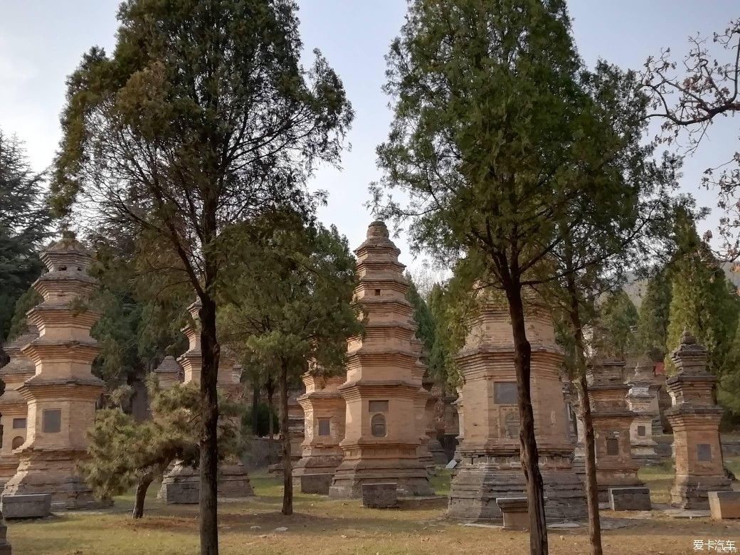 少林寺|中外闻名寺院～少林寺（下）