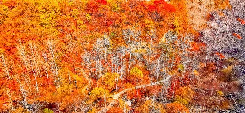 玉渡山|北京号带您“云”游～2021北京网红打卡地之自然景观