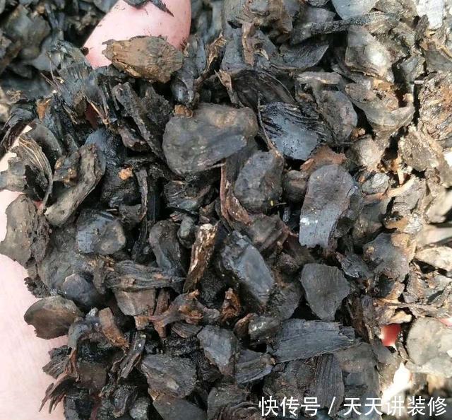 施肥|户外捡3种东西,养花肥沃、透气,1-2年不施肥,花卉轻松爆盆