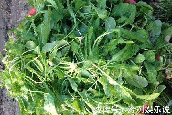 腰椎病变|“十个人九个腰疼”,常食3物,腰不酸,腿不软,皮肤白里透红!