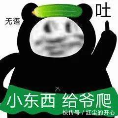 |搞笑表情包：昨天不是刚起过床吗，怎么今天又要起床