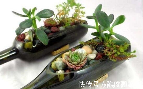 漂亮|这些破烂不要扔,做成“小花盆”,个性又漂亮,比买的强“百倍”!