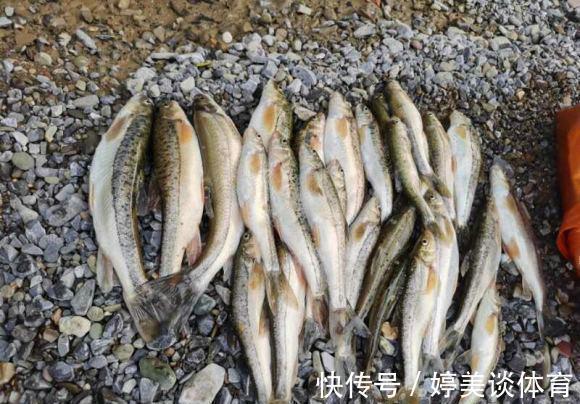 武陵山腹地现成群“奇鱼”，梭型无鳞，似从地下河游出