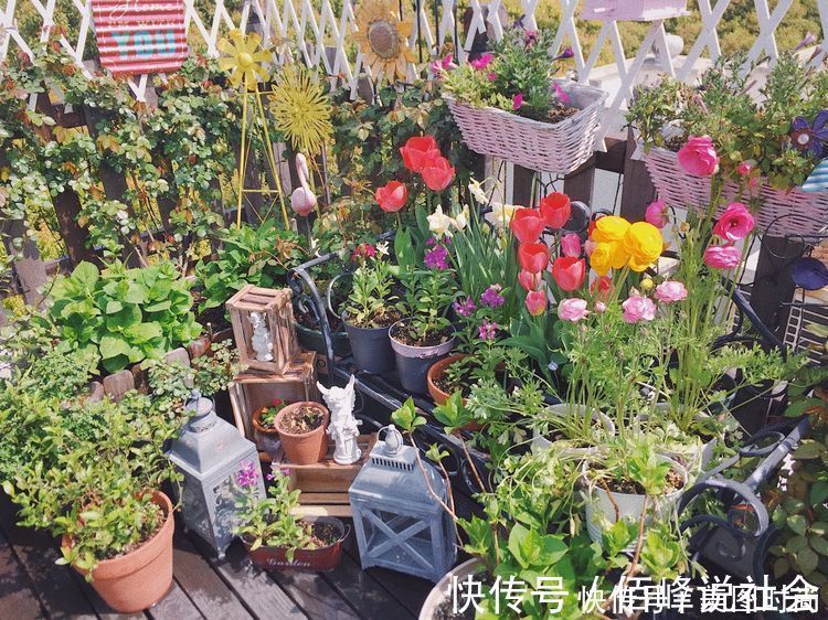 13㎡屋顶造花园,在喧嚣城市里,打造一个自己心灵深处的伊甸园