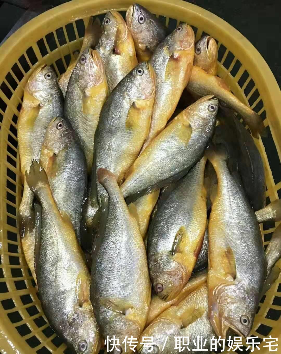 万不要错|买鱼时,看准这4种鱼,目前无法人工养殖,都是野生鱼,营养好吃