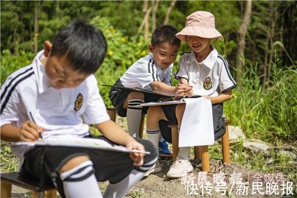 黑水鸡|白鹭池鹭黑水鸡不用搬家了！松江区小学生用一封信留住了教室外的天然湿地