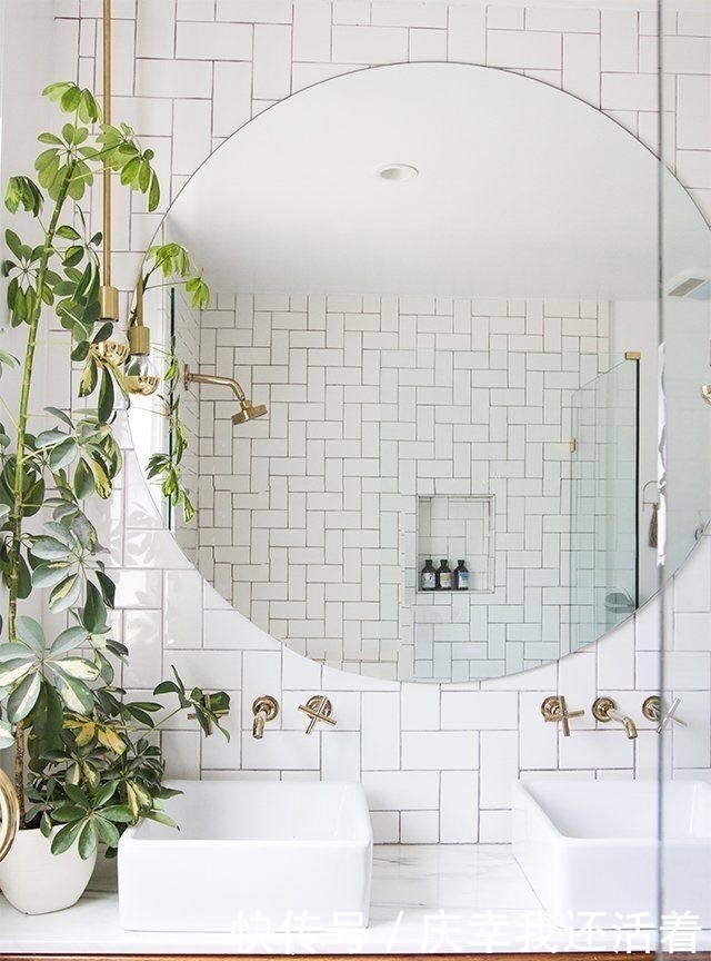 媳妇儿,你把卫生间都种成了花园,人家都不好意思在里面蹲坑了!