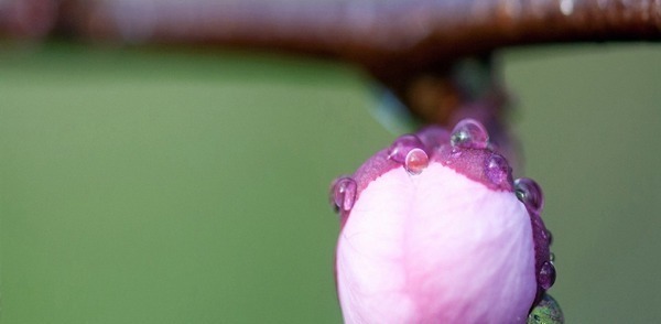添加|妈妈注意 宝宝辅食添加的有什么讲究!妈妈注意 宝宝辅食添加的有什么讲究!