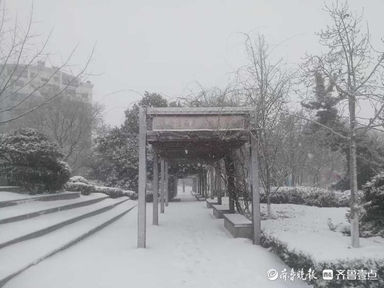 一片银装素裹！晶莹雪花把日照五莲芙蓉广场装扮的格外美