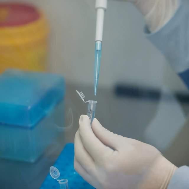 病向|妇幼生殖医学专家：第三代试管婴儿技术阻断多囊肾病向后代传递