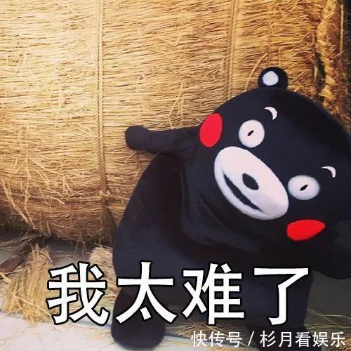 茄汁黄豆|黄豆简单一煮就好吃，别只会用来打豆浆了！有个电饭煲就能做！