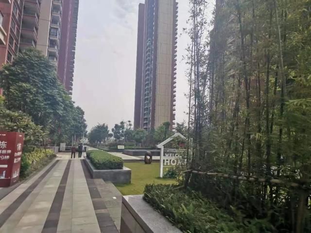 楼市|在大湾区，这是我看到的最为“混乱”的楼市