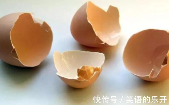 教你用鸡蛋壳养花的6个小技巧,学会了植物枝繁叶茂