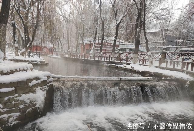 玉树琼花|玉树琼花，如梦如幻，乌鲁木齐这个公园冬天如人间仙境