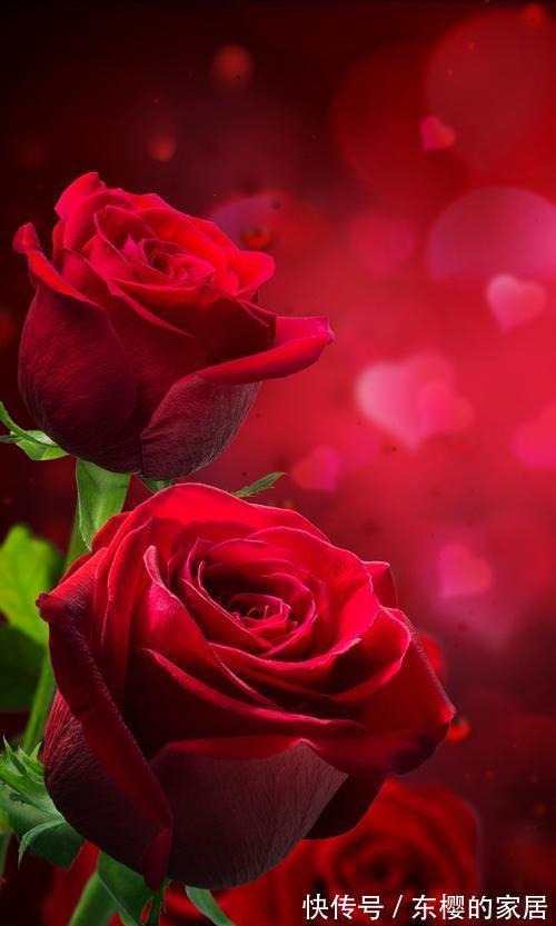 射手座座|2021下半年,四大星座时来运转,事事顺利,心想事成